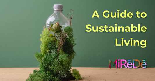 A Guide To Sustainable Living: Principles, Benefits and Examples