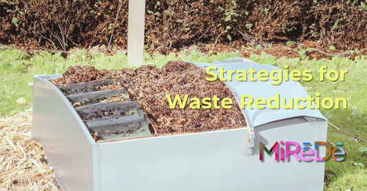 Sustainable Living: Practical Strategies for Waste Reduction